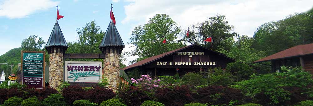 The Salt and Pepper Shaker Museum in Gatlinburg